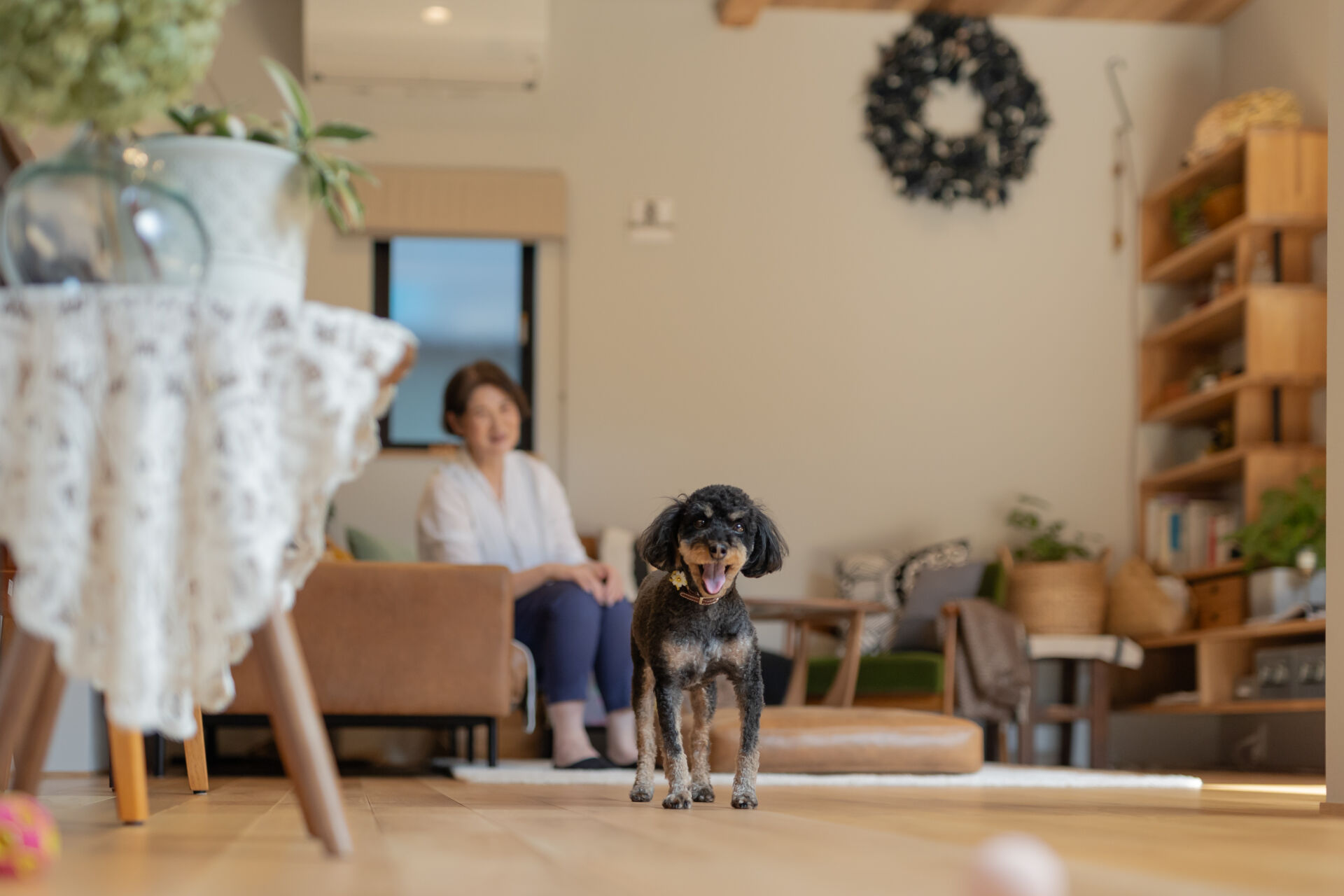 家族と愛犬に優しい上質な住まい