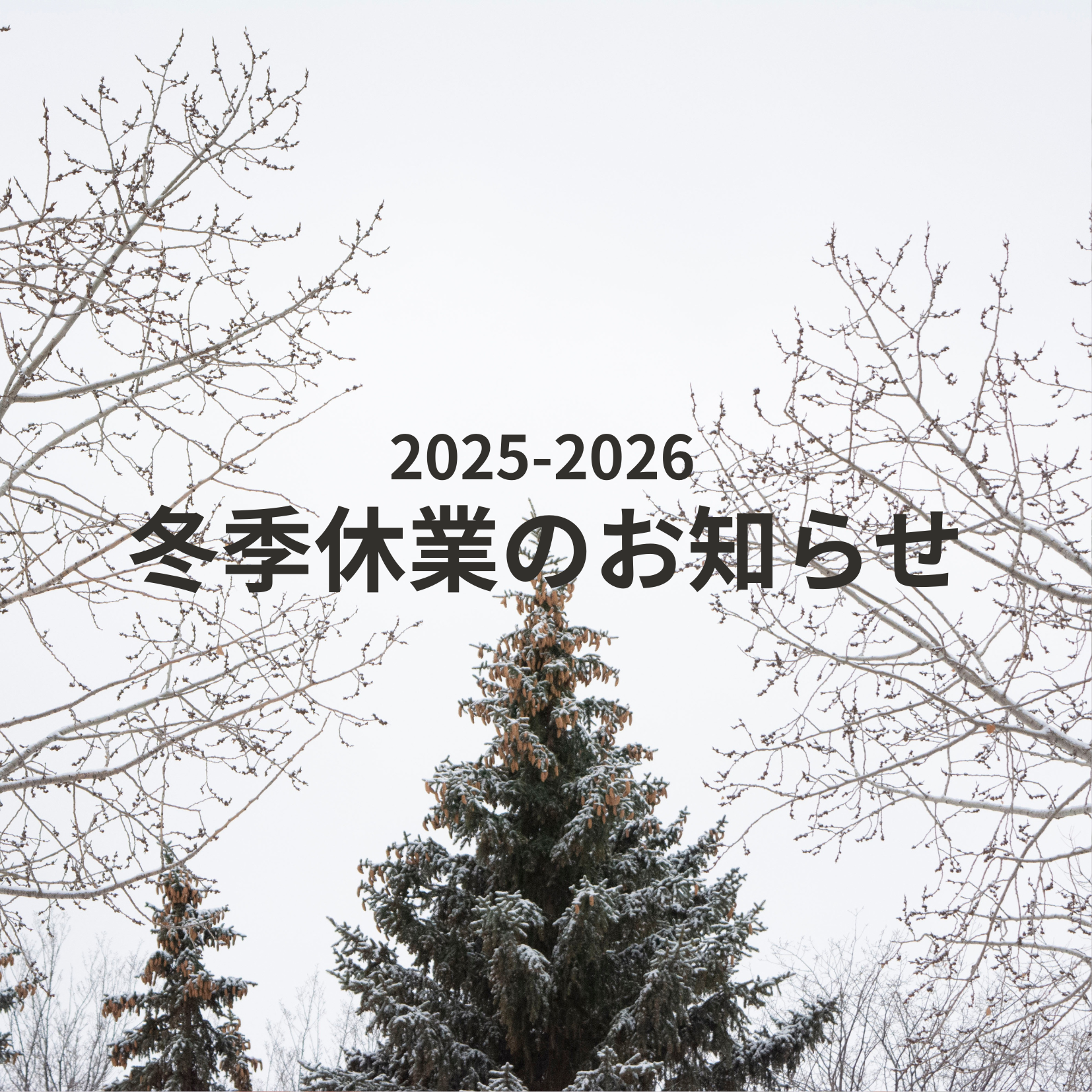 最新イベント情報